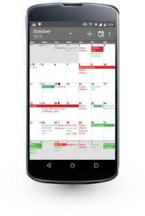 A calendar app on a smartphone displaying a detailed month view with color-coded events